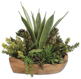 Uttermost Salar Succulents, Teak Bowl