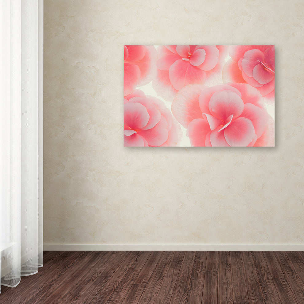 Cora Niele ''Rose Begonia Flowers'' Canvas Art
