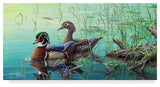 Jeff Tift 'Wood Ducks' Canvas Art, 32"x16"
