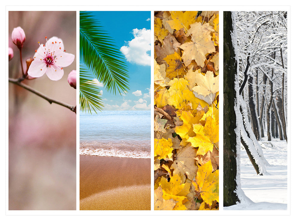 Four Seasons World Collage, Landscape Canvas Art Print, 40"x30"