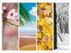 Four Seasons World Collage, Landscape Canvas Art Print, 40"x30"