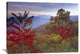 "Staghorn Sumac In Autumn, Blue Ridge Mountain Range, Virginia" Artwork