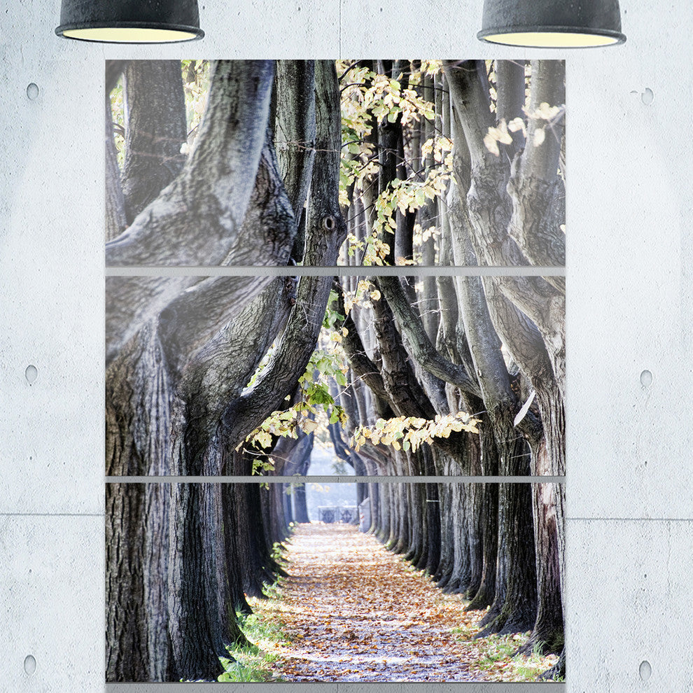 "Tree Outside Lucca Italy" Photo Metal Wall Art, 3 Panels, 28"x36"