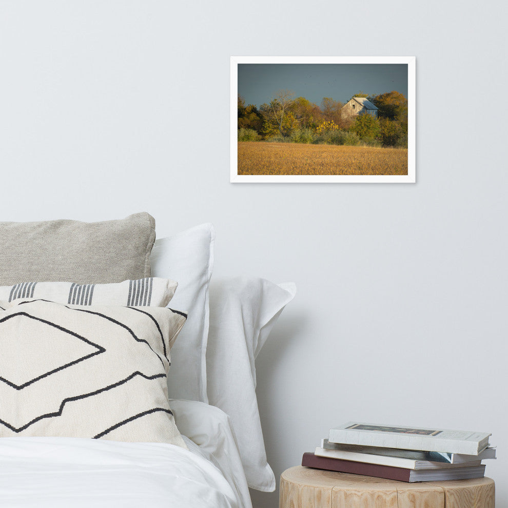 Abandoned Barn In The Trees Framed Photo Paper Wall Art Prints, White, 12" X 18"