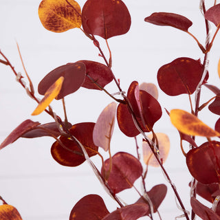 Close-up of leaves on white background