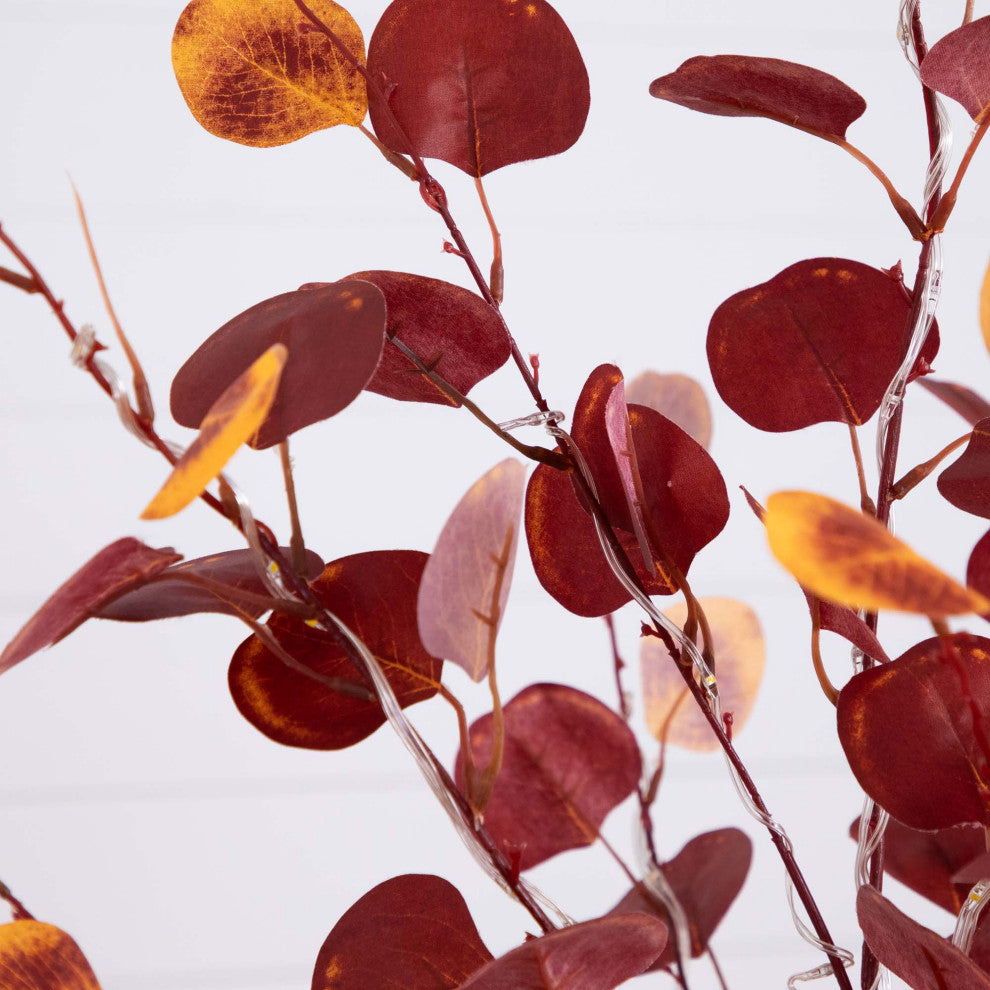 Close-up of leaves on white background