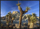 Joshua Trees In Red Rock Canyon State Park, California, 24"x18"
