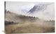 "Fog In Old Growth Forest, Chilkat River Wilderness, Alaska" Artwork, 36" x 24"