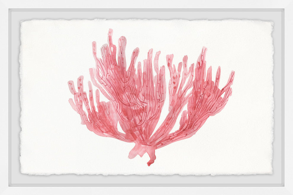 "Lone Coral" Framed Painting Print, 18"x12"