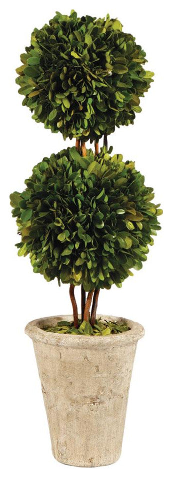 Elegant Double Ball Topiary Pot English Boxwood 20 in Classic Greenery Tabletop