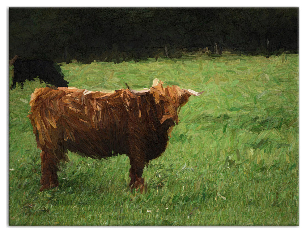 Hairy Brown Cow 24x18 Canvas