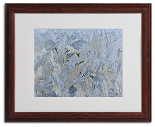 'Frost Pattern #6' Matted Framed Canvas Art by Kurt Shaffer
