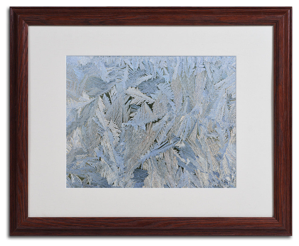 'Frost Pattern #6' Matted Framed Canvas Art by Kurt Shaffer