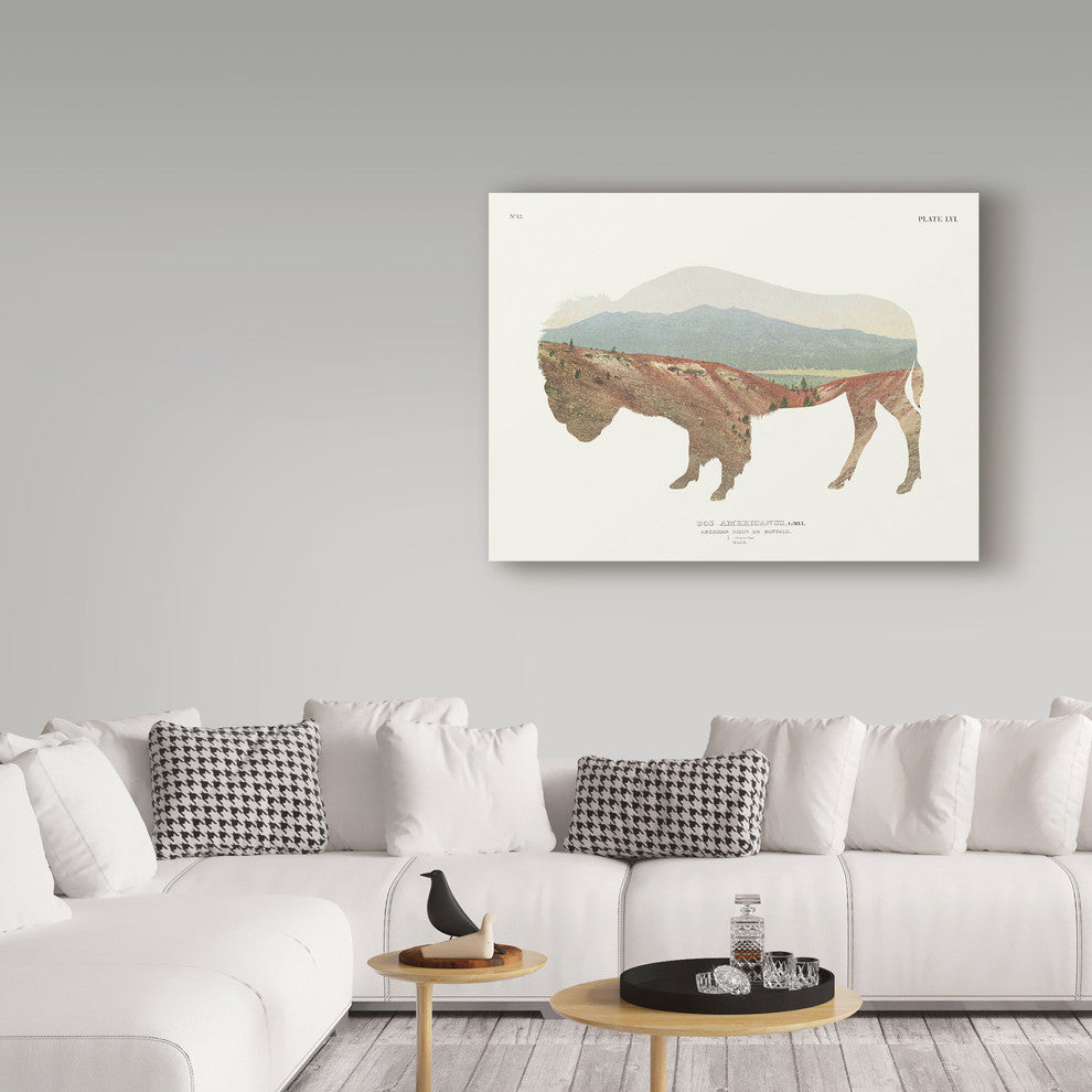 Wild Apple Portfolio ''American Southwest Buffalo'' Canvas Art, 47"x35"