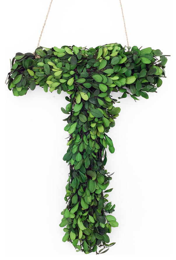 Modern Home 12" Real Preserved Boxwood Monogram Wreath Letters - T