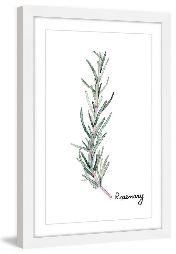 "Herb Rosemary" Framed Print by Rachel Byler