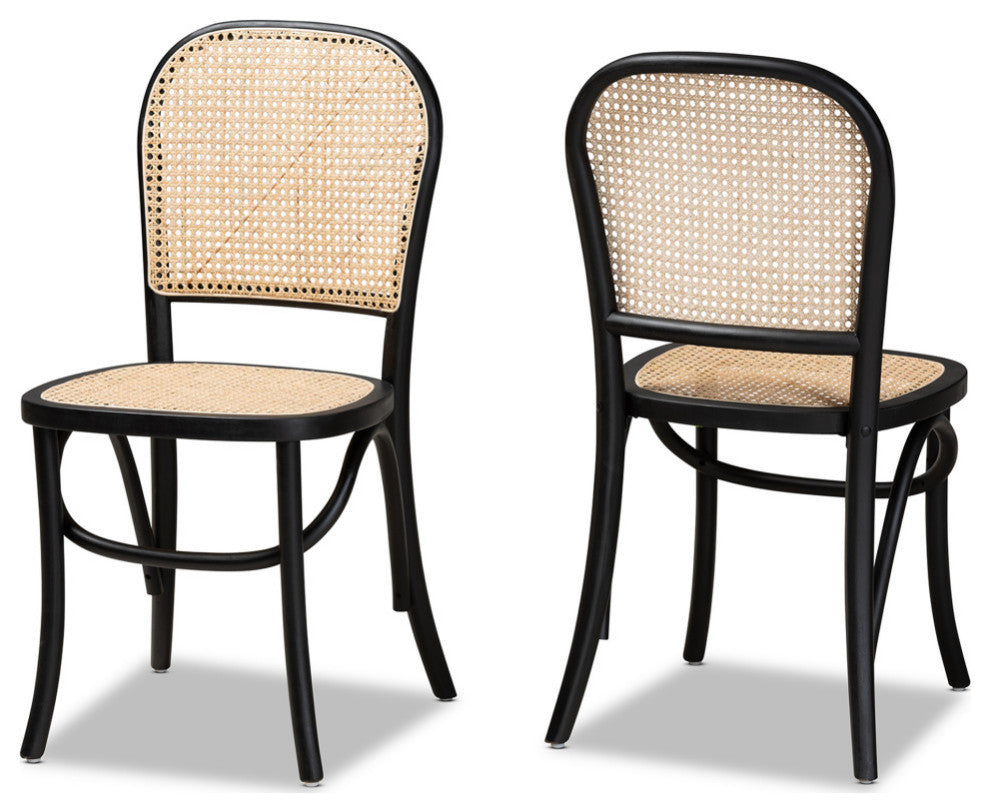 Jolyn Mid-Century 2-Piece Dining Chairs, Black