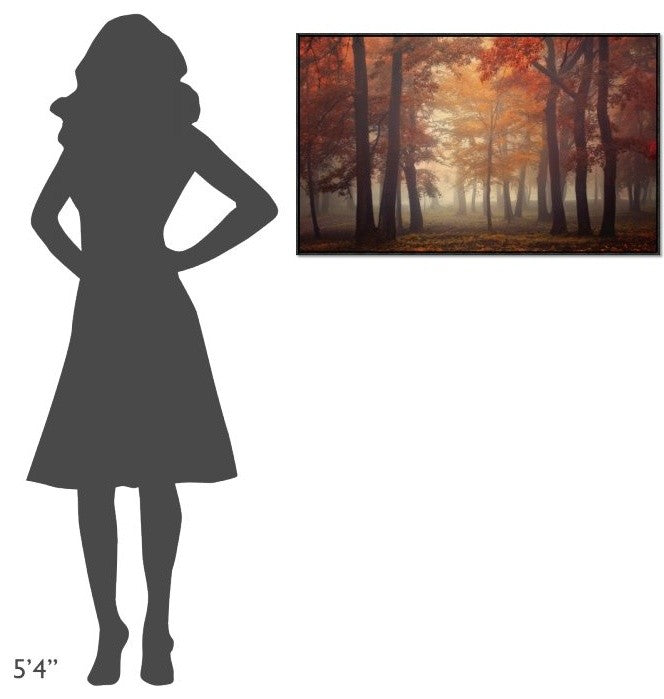 "Feel" Framed Canvas Giclee by Ildiko Neer, 37x23"