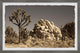 "Cactus and Rocks" Framed Painting Print, 36x24