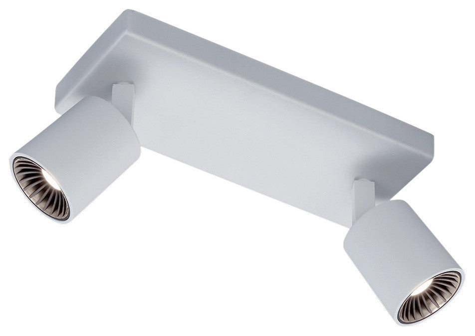 Cayman LED Wall/Ceiling Light, White