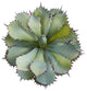 11" Succulent Artificial Plant