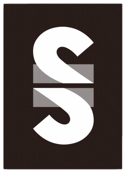 "Super S" Canvas Art, 11"x16"