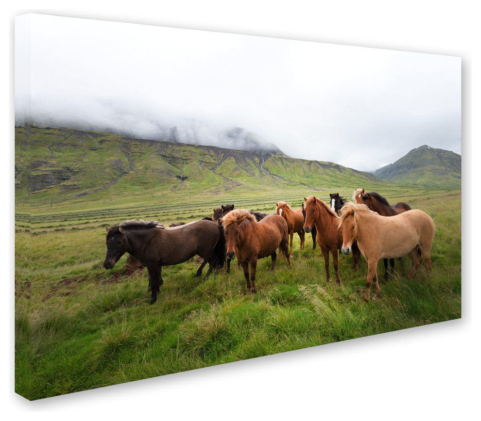 Philippe Sainte-Laudy ''Bunch of Friends'' Canvas Art
