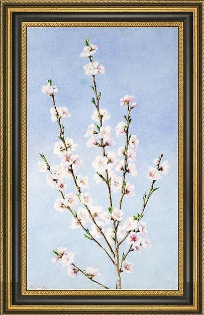 John William Hill Peach Blossoms Framed Premium Canvas Print, 18"x27"