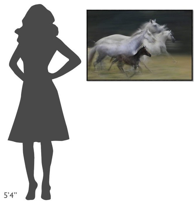 In Gallop, 36"x24"