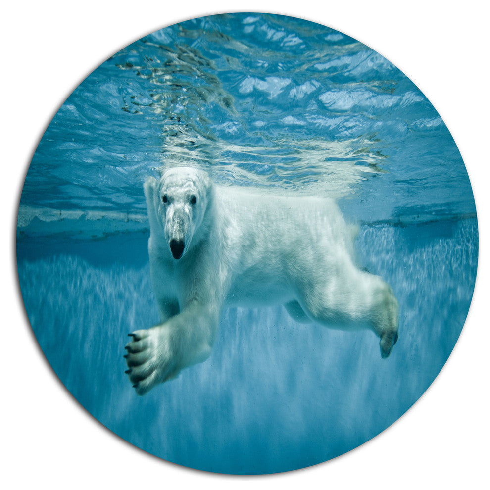 Polar Bear Swimming Under Water, Animal Large Disc Metal Wall Art, 23"