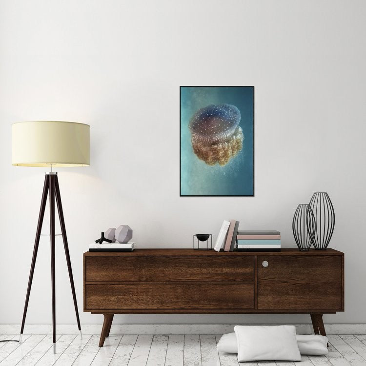 "Jellyfish Phylorhiza Punctata" Framed Canvas Giclee by Yaron Halevy, 25x37"
