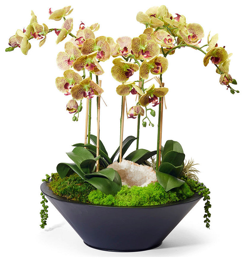 Orchids in Sleek Round Container, Green