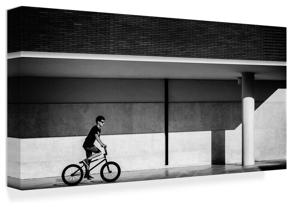 Joao Castro 'Shades Of Gray' Canvas Art, 19"x10"