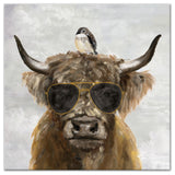 Cool Highland Cow 30 x 30 Canvas Wall Art