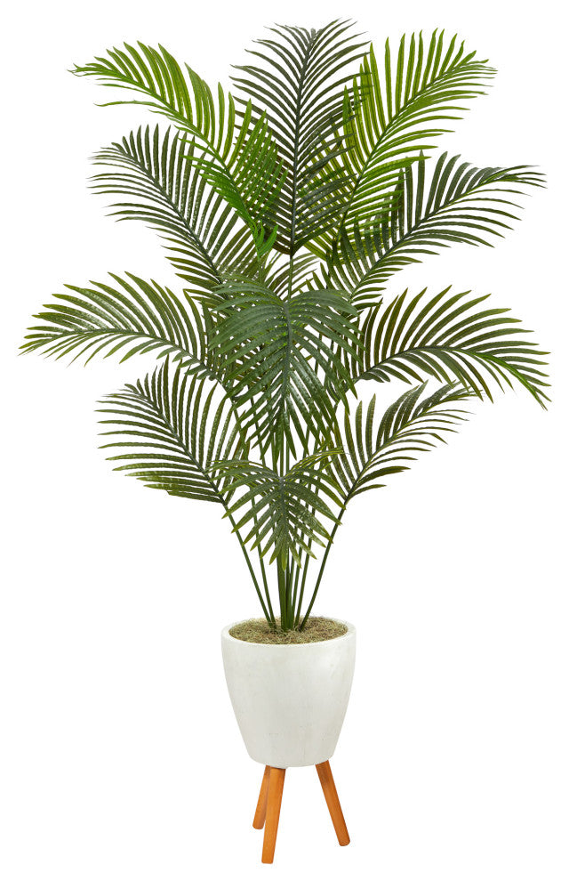 6.5' Golden Cane Artificial Palm Tree, White Planter With Stand