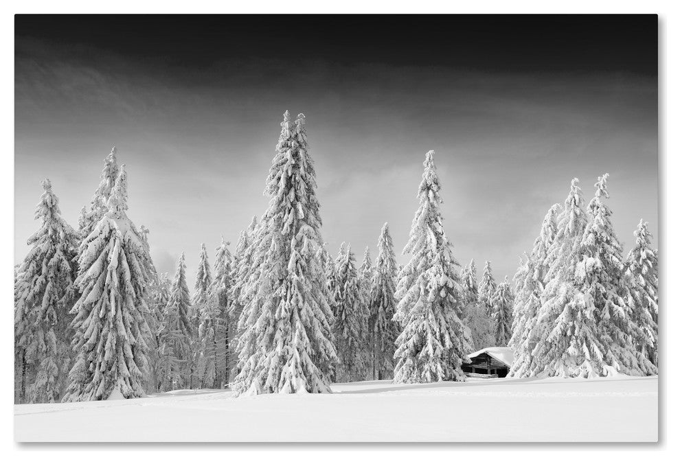 Philippe Sainte-Laudy 'White World' Canvas Art, 12x19