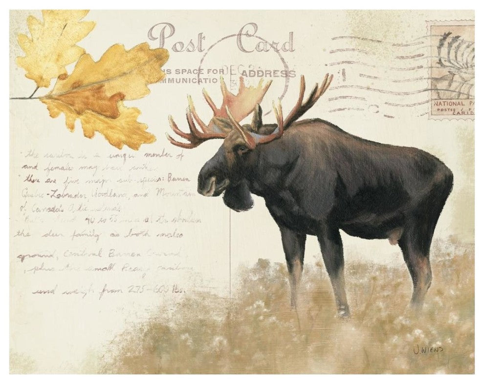 "Northern WIld III" Digital Paper Print by James Wiens, 30"x24"