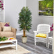 70" Phoenix Palm Artificial tree, Country White Planter