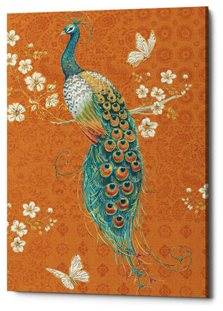 Ornate Peacock X Spice' by Daphne Brissonnet, Giclee Canvas Wall Art, 18"x26"