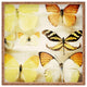 Chelsea Victoria Sherbert Dreams Square Tray