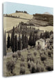 "Tuscany - 15" By Alan Blaustein, Giclee Print on Gallery Wrap Canvas