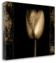 "White Tulipa II" By Rick Filler, Giclee Print on Gallery Wrap Canvas