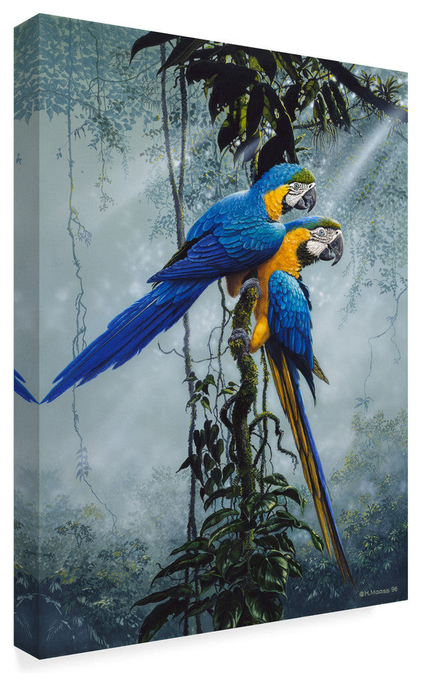 Harro Maass 'Blue And Yellow Macaws 2' Canvas Art, 24"x18"