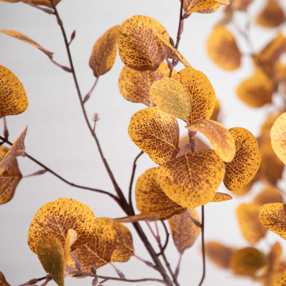 Close-up on white background focusing on leaves; cropped view of leaf detail.