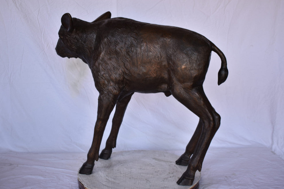 Bison Calf Lifesize Bronze Statue Size: 37"L x 15"W x 32"H.