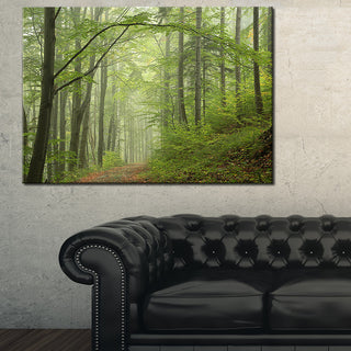"Early Green Fall Forest" Landscape Canvas Photo Print, 40"x30"