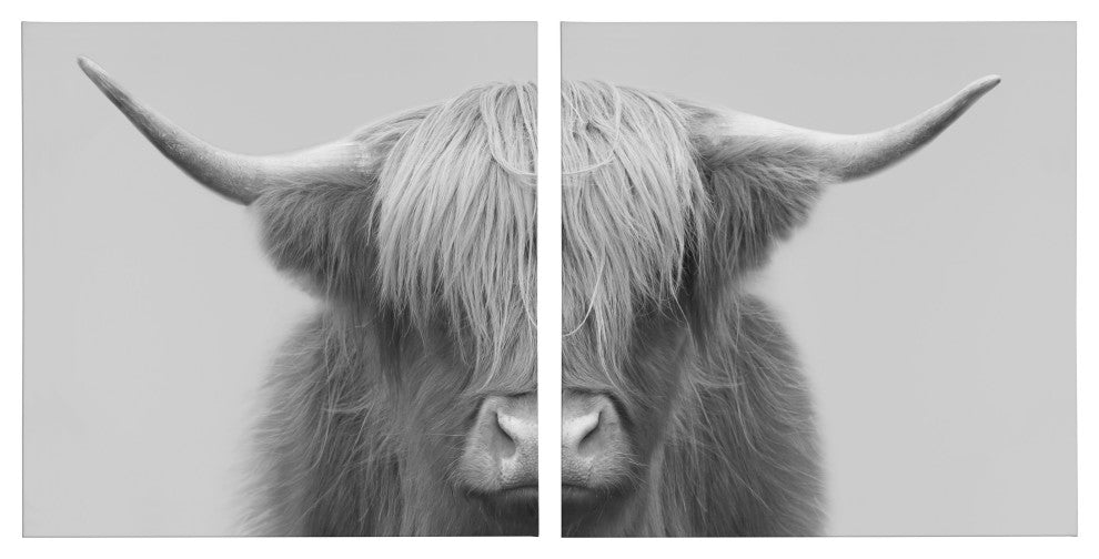 Hey Dude Cow Gray Canvas by The Creative Bunch Studio, Assorted 2 Piece 20x20