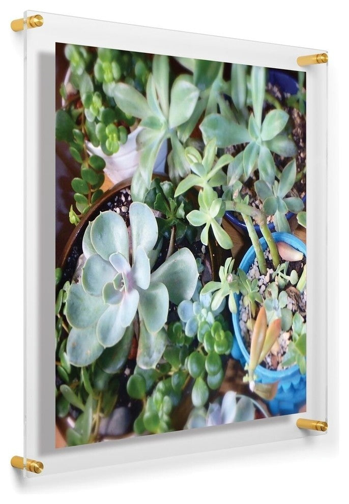 23"x 23" Double Panel Acrylic Wall Frame For 20"x20" Art, Gold Hardware