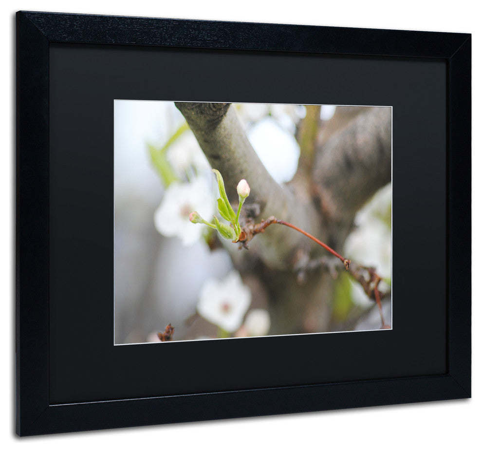 'Before Bloom' Matted Framed Canvas Art by Monica Mize