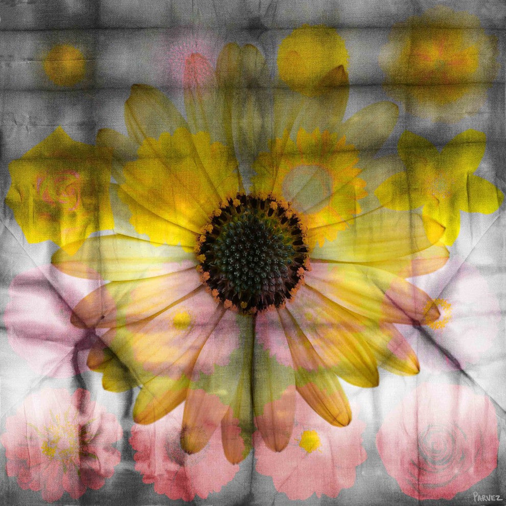 "Pink and Yellow Sunflower" Fine Art Canvas Print, 32"x32"